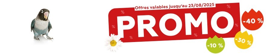 Promos de l'été 2025 - Oiseau