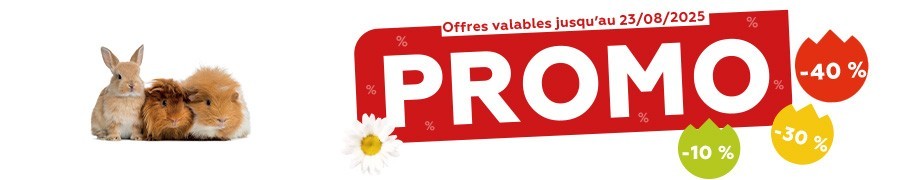 Promos de l'été 2025 - Rongeur