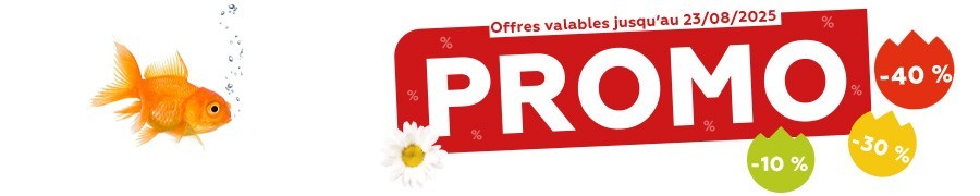 Promos de l'été 2025 - Poisson