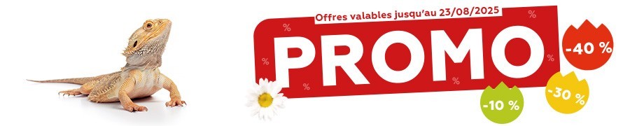 Promos de l'été 2025 - Reptile