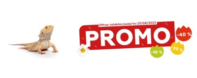 Promos de l'été 2025 - Reptile