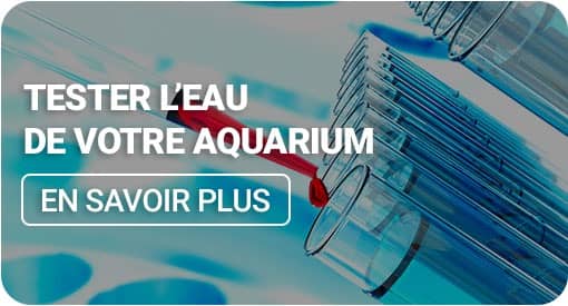test de l'eau