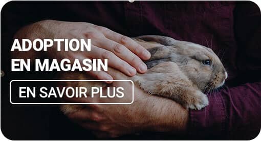 adoption en magasin