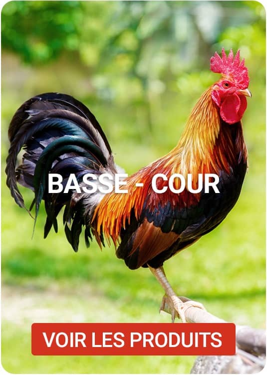 catalogue basse cour
