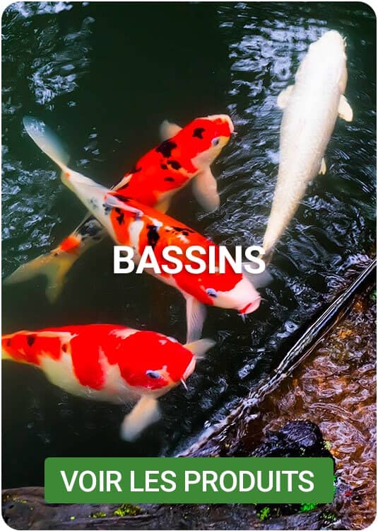 catalogue bassin