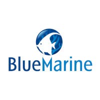 BlueMarine